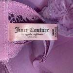 Juicy Couture Lace Bra 38DD Smoky Grape Lilac Lavender Purple Sexy Heart NWT Photo 5