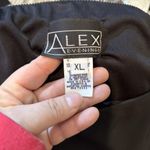 Alex Evenings  Women's‎ Black Below Knee Length Skirt Size XL Sheer Overlay Photo 2