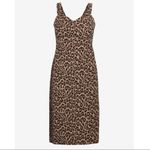 Banana Republic  Brown Tan Leopard Knee Length Dress Business Casual Party Size 2 Photo 10