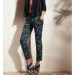 Derek Lam  For Design Nation Sz 10 Rio Capri Pants In‎ Nightshade Organic Cotton Photo 1