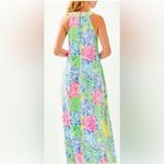 Lilly Pulitzer Shawn Maxi Dress Photo 5