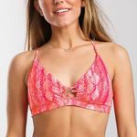 Isabella rose Vienna neon pink snakeskin print chiffon bikini Size M Photo 0