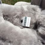 UGG Stargirl Bow Mini Boots Photo 4