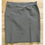 Toad & Co Paseo Ponte Knit Striped Pencil Skirt Pull-On Stretch Zip Pocket Large Photo 1