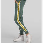 Junk Food Womens NFL Green Bay Packers Sunday Jogger Sweatpants Pants Photo 3