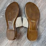Italian Shoemakers  Thong Sandal Photo 6