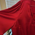 Flower & Feather blouse Red Size 2X Photo 4