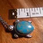 Mojave Blue Turquoise Copper Turtle Pendant Stainless Steel Necklace Photo 4