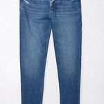 American Eagle  Strigid Mom Jeans Photo 0