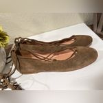 Madewell  Inga Wine Suede Leather Lace-Up Ballet Shoes Size 6.5 Brown Photo 2