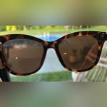 PEEPERS Tortoise Shell Cat Photo 5