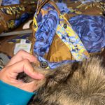 Aerie Offline Vest  Photo 7