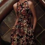 Anthropologie  Leifsdottir Adelita Brocade Dress Sz XS Photo 2