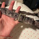 frankie's bikinis  Stormy Snakeprint Bikini Buckle
Top Photo 3