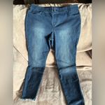 Hue  Women's pull up comfy Blue Jeans Photo 0
