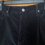 Black Orchid Los Angeles Gisele Black Velvet High Rise Super Skinny Jeans Photo 1