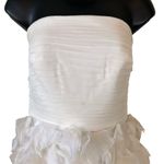 Tadashi Shoji  SILK Strapless Ruffle Skirt Silk Chiffon Swan Dress Style OC487M Photo 1