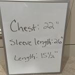 Champion  Reverse Weave Gray Hoodie Sweatshirt Logo Athleisure Sporty Photo 9