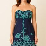 Lilly Pulitzer  Strapless Bowen Fly Me to the Sea Dress - Size 6 Photo 0