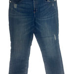Rock & Republic Kendall 20W Distressed Straight Stretch Jeans Denim Normcore Photo 0
