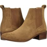 Steve Madden NWOT - Ankle Boots / Booties. Photo 0