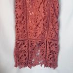 Boohoo NWT Pink Embroidered Floral Lace Cutout Midi Bodycon Dress Size 6 Photo 4