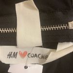 H&M X Coachella Crop Top Size 6 Photo 9