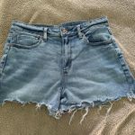 American Eagle Outfitters Shorts Photo 0