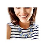 Stella & Dot Elodie Statement necklace Blue Silver Career Party Photo 8