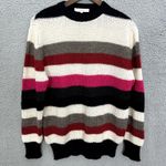 IRO Paris Sweater Women M Stripe Alpaca Blend Knit Quiet Luxury Cozy Indie Retro Photo 0