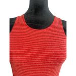 Nation Ltd  Size Medium  Christine Smocked Tank Stripe Photo 3