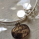 ALEX AND ANI  Color Infusion Pumpkin Spice Charm Bangle, Shiny Silver Finish Photo 1