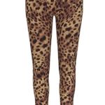 SKIMS leopard | Dolce & Gabbana x | cotton rib legging | limited edition Photo 11
