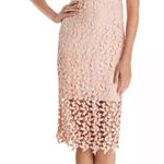 Bardot  Gemma Lace Halter‎ Dress in Light Champagne Pink XS Photo 0