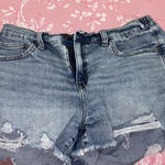 Aerie  Shorts Photo 0
