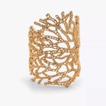 ZARA NWT  Gold Coral Reef Cuff Bracelet - New in Box Photo 0