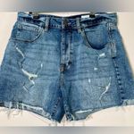 Treasure & Bond EUC  Foster Boyfriend Buttonfly Raw Hem Shorts - 30 Photo 0