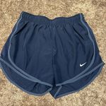 Nike Dri-Fit Shorts Photo 0