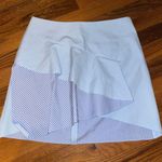 ZARA Mini Skirt Photo 0