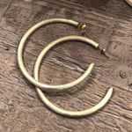 Sheila Fajl Brushed Gold Everyone’s Favorite Hoops Photo 0