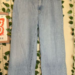 Everlane Women’s wide leg jeans size 31 Photo 0