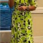 Steve Madden  Sunny Lime Smocked Dress -NWT Photo 1