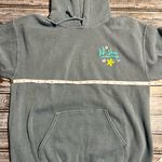 Urban Outfitters  Gray Graphic Hoodie Photo 4