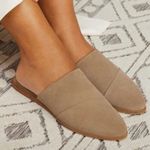 Toms Like New  Leather Jade Mule Flats Taupe Size 10 Photo 1