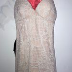 Xenia Beige Lace Boutique Dress Photo 1