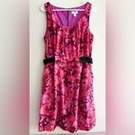 Loft Ann Taylor  Sheath Dress with Black Stretch Band Belt, Size 12 Photo 1