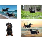 Dachshund Earrings New Dangle Hooks Double Sided Black Tan Weenie Dog Ge… Photo 5