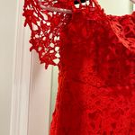 Lulus  Cocktail lace dress Photo 3