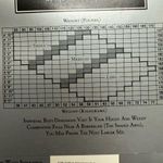 Vintage NOS 80s Evan Picone sheer Lycra gray panty hose, size medium Photo 7