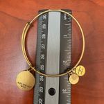 ALEX AND ANI  Aunt Charm‎ Bangle Bracelet Gold Tone American Flag Energy Photo 10
